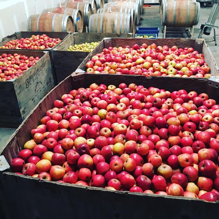 Lassen Cidery